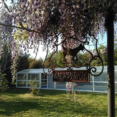 مبيت وإفطار Athée-sur-Cher La Ferme Du Bien Etre المظهر الخارجي الصورة